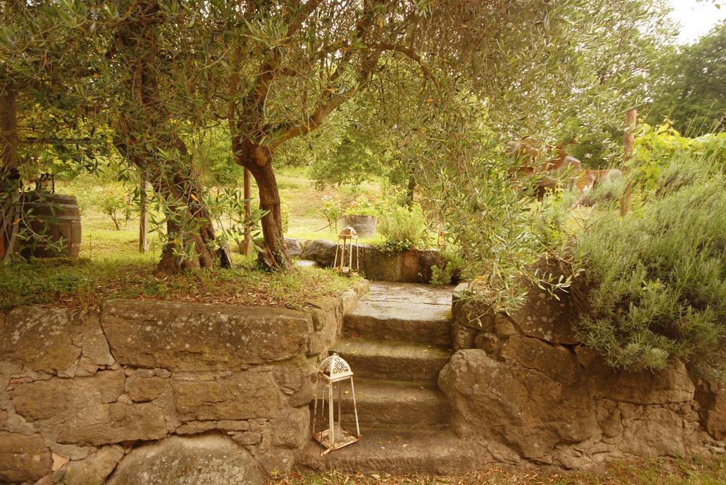Pieve Di Caminino Historic Farm Villa Podere Caminino Eksteriør billede
