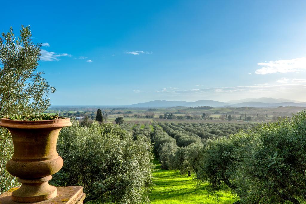 Pieve Di Caminino Historic Farm Villa Podere Caminino Eksteriør billede